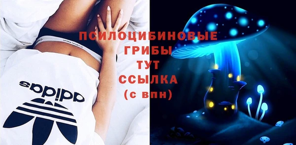 прущие крисы Аркадак