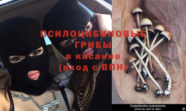 каннабис Армянск