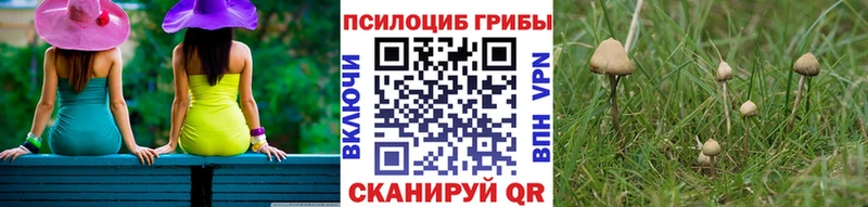 Галлюциногенные грибы Cubensis hydra сайт Певек купить наркоту